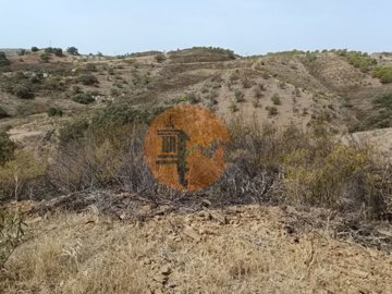 id38417001-0000-0500-0000-000011cea773