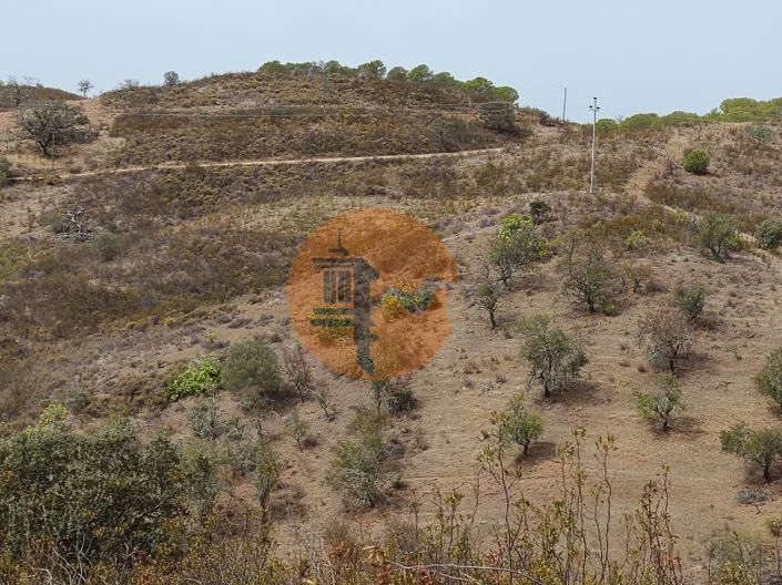 Image No.13-Plot for sale