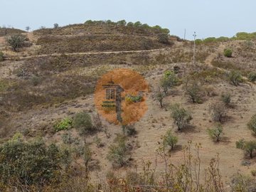 id38417001-0000-0500-0000-000011cea775