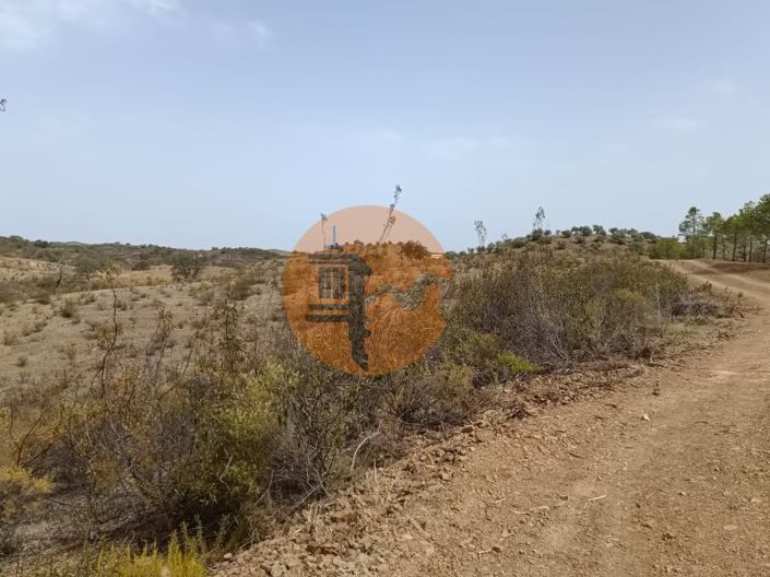 Image No.7-Plot for sale