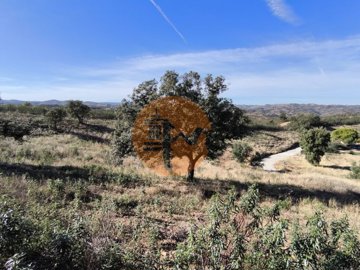 id438db701-0000-0500-0000-000017f5d9c3