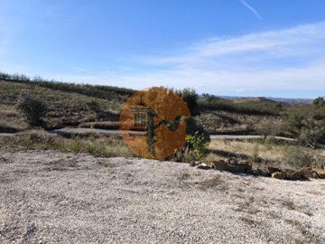 id438db701-0000-0500-0000-000017f5d9c5