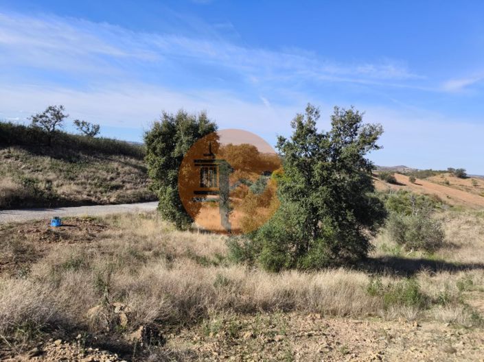 Image No.20-Plot for sale