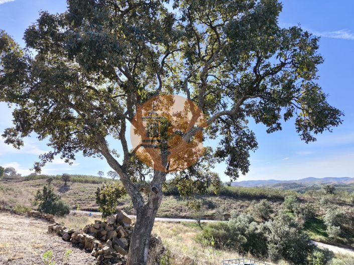 Image No.21-Plot for sale