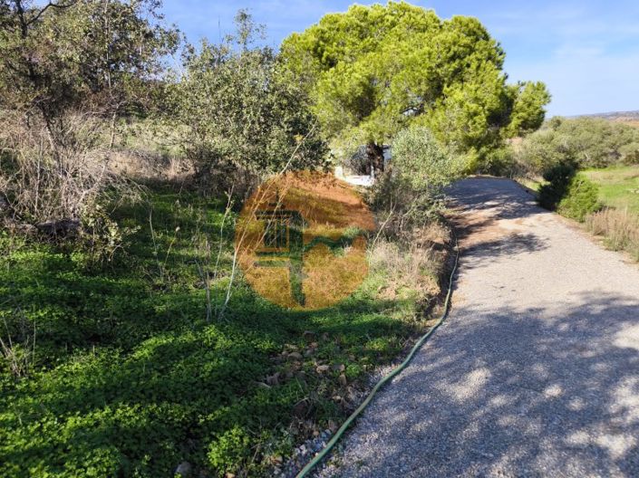 Image No.27-Plot for sale