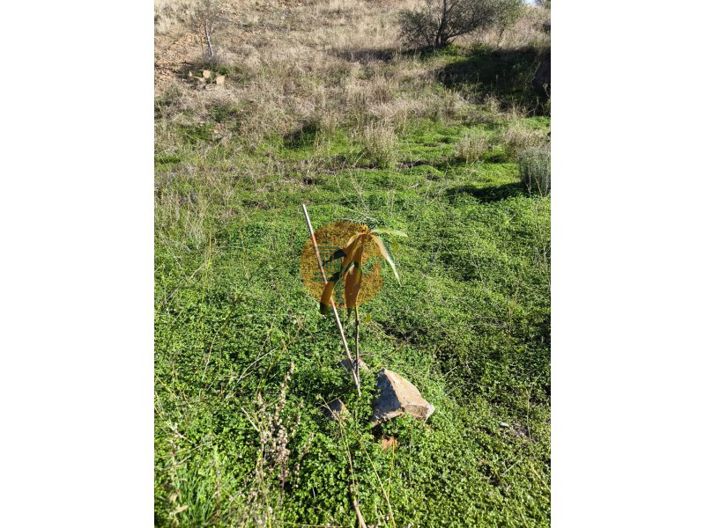 Image No.31-Plot for sale