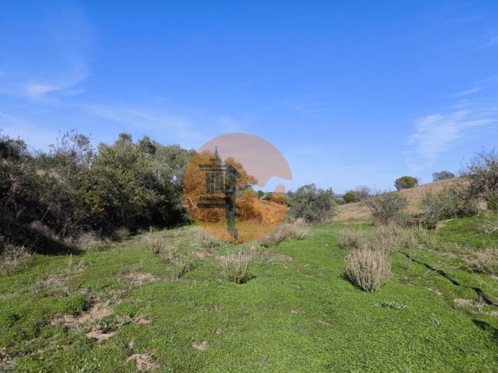 Image No.32-Plot for sale