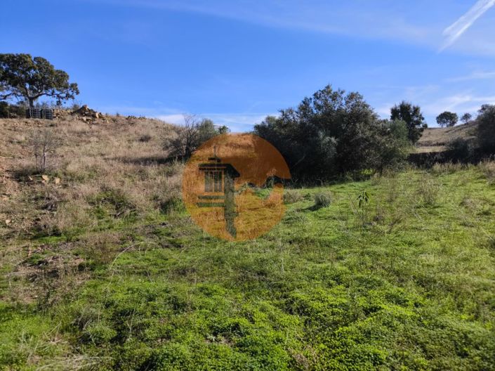 Image No.35-Plot for sale