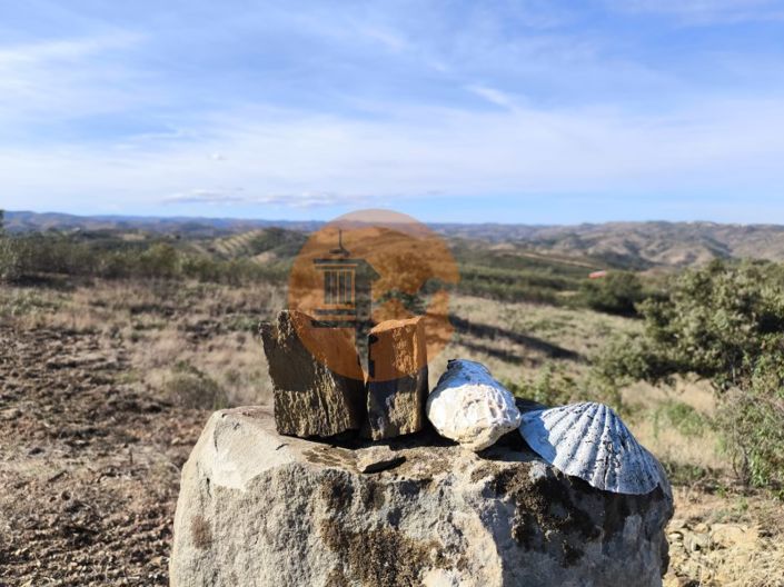 Image No.41-Plot for sale