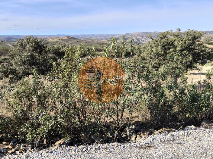 Image No.44-Terrain à vendre à Castro Marim