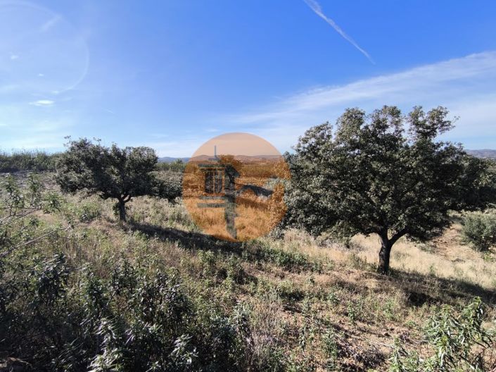 Image No.7-Plot for sale