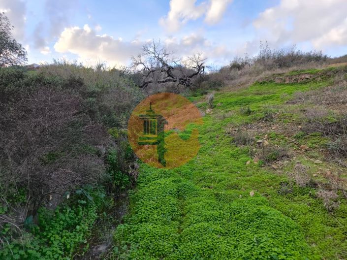 Image No.24-Plot for sale