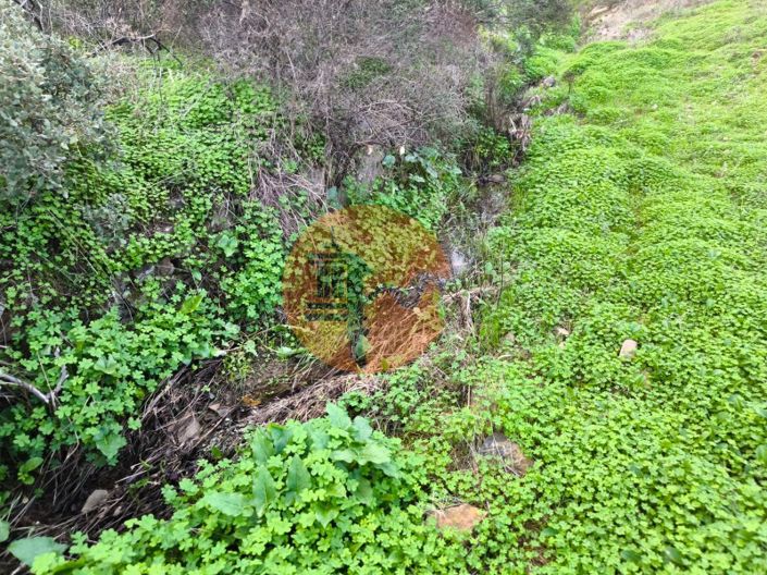 Image No.3-Plot for sale