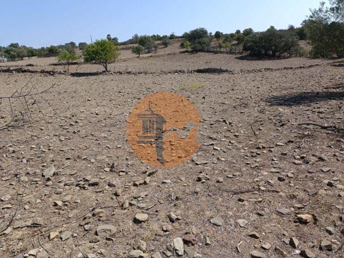 Image No.15-Plot for sale