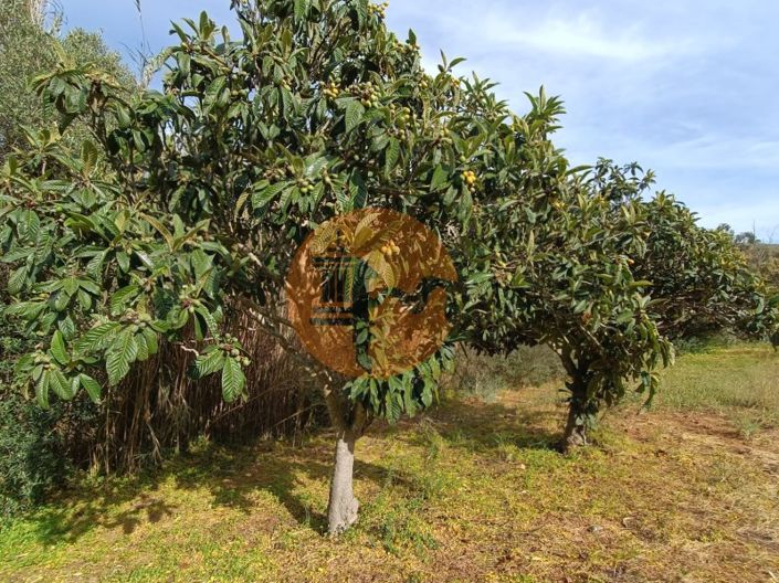 Image No.12-Terrain à vendre à Castro Marim