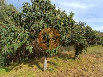 id21536901-0000-0500-0000-00001125b983