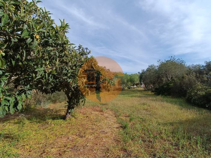 Image No.17-Terrain à vendre à Castro Marim