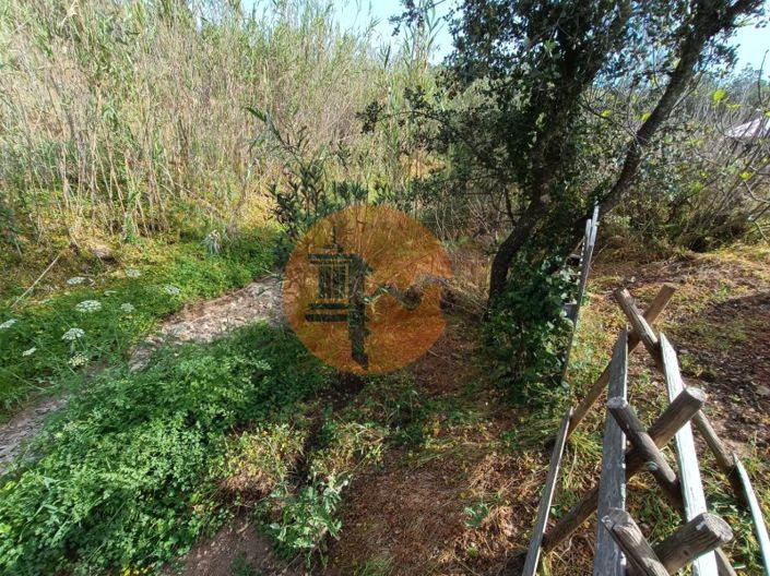 Image No.20-Terrain à vendre à Castro Marim