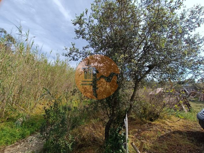 Image No.22-Terrain à vendre à Castro Marim