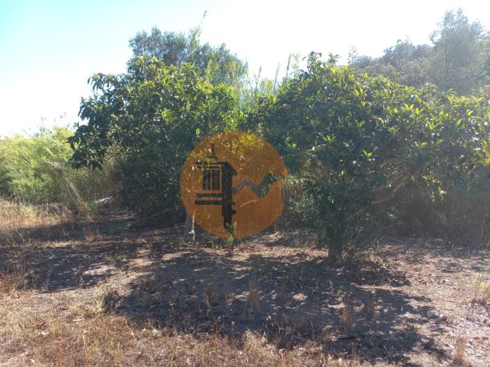 Image No.36-Terrain à vendre à Castro Marim