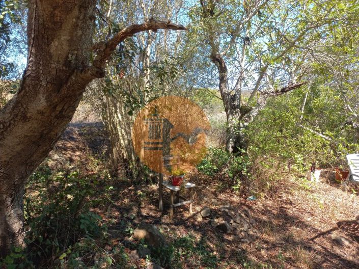 Image No.45-Terrain à vendre à Castro Marim