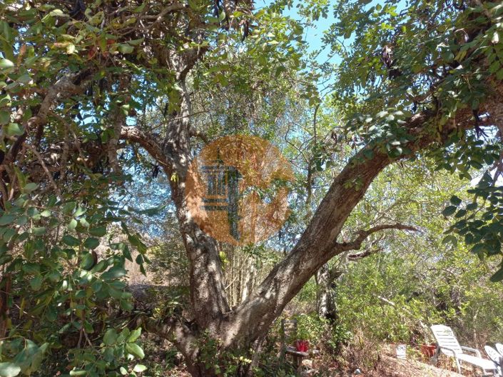 Image No.47-Terrain à vendre à Castro Marim