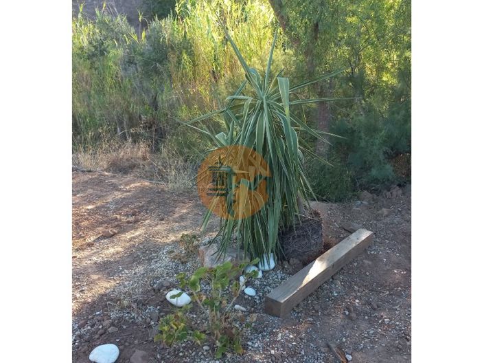 Image No.49-Terrain à vendre à Castro Marim