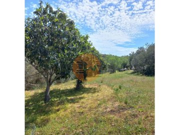 id21536901-0000-0500-0000-00001124fd03