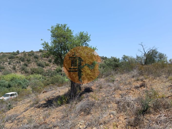 Image No.12-Terrain à vendre à Castro Marim