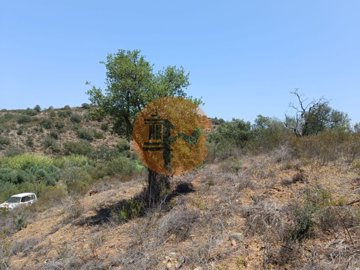 id566e6e01-0000-0500-0000-000011a3acf0