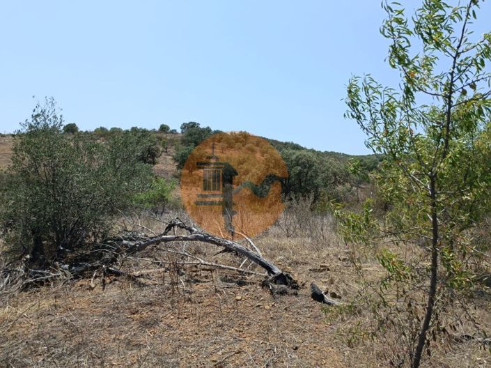 Image No.39-Terrain à vendre à Castro Marim