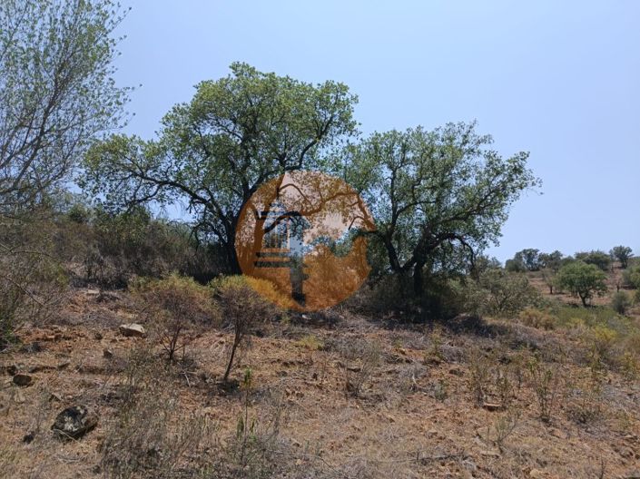 Image No.9-Terrain à vendre à Castro Marim