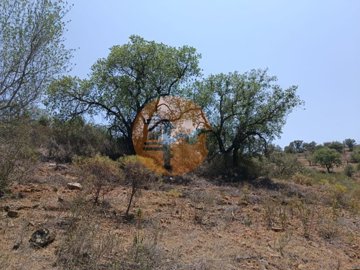 id566e6e01-0000-0500-0000-000011a3aced