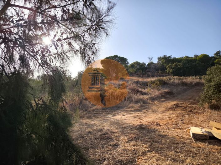 Image No.16-Plot for sale