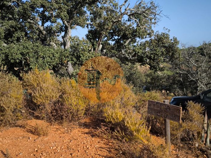 Image No.7-Plot for sale