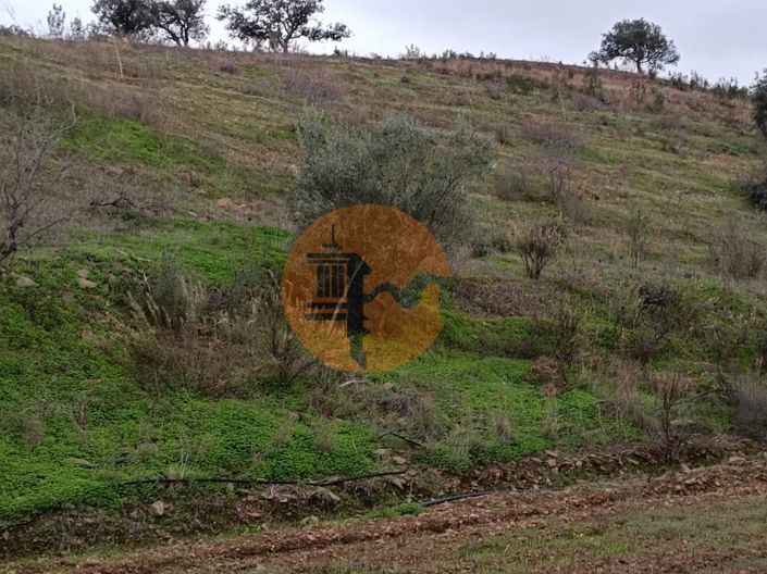 Image No.14-Plot for sale