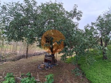 id0e1c7401-0000-0500-0000-0000122f7d16