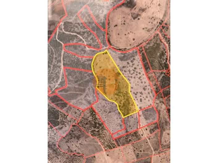 Image No.14-Plot for sale