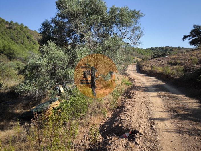 Image No.18-Plot for sale