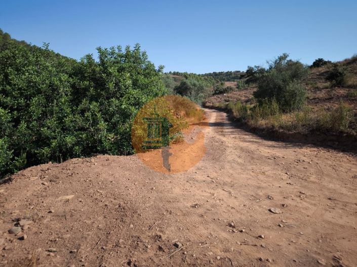 Image No.19-Plot for sale