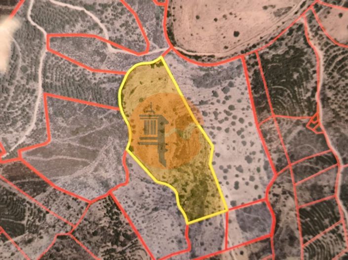 Image No.2-Plot for sale