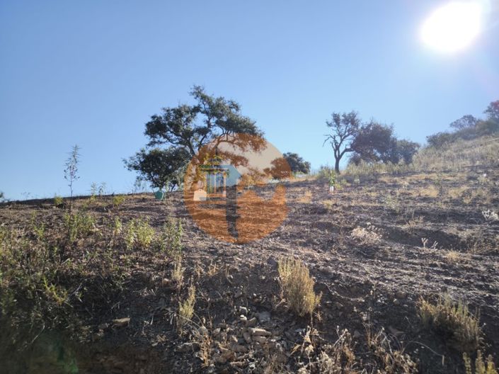 Image No.21-Plot for sale