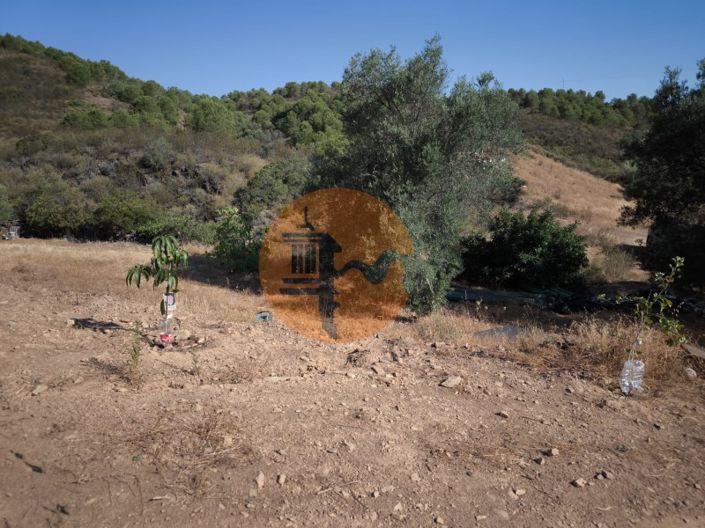 Image No.27-Plot for sale