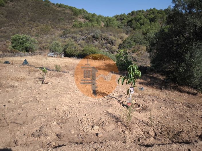 Image No.30-Plot for sale