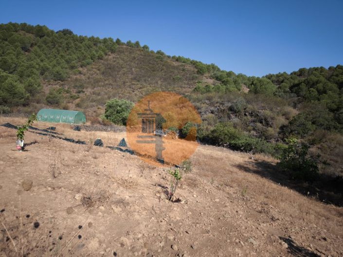 Image No.32-Plot for sale