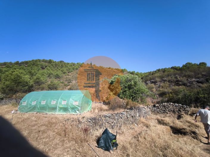 Image No.34-Plot for sale