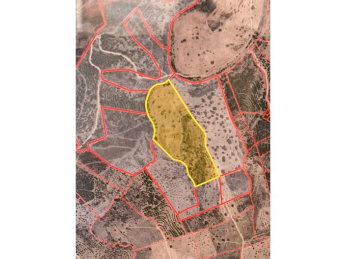 Image No.37-Plot for sale