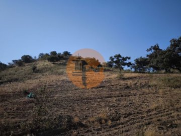 idf6f7a201-0000-0500-0000-000016955690