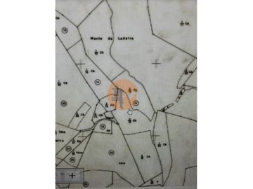 id3b445601-0000-0500-0000-000010b939aa