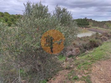 id3b445601-0000-0500-0000-000010b939ad